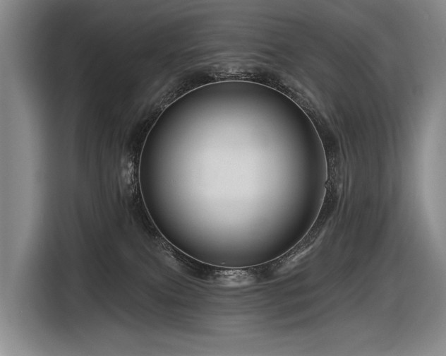 X0000116870087200912221414