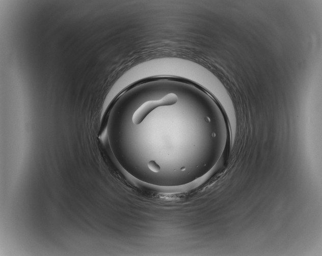 X0000116870088200912221414