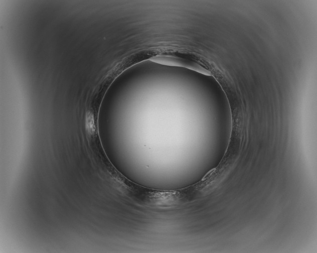 X0000116870089200912221414