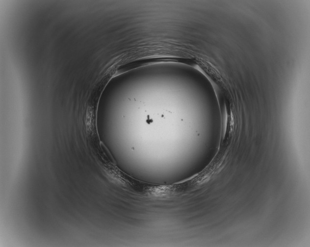 X0000116870092200912221414