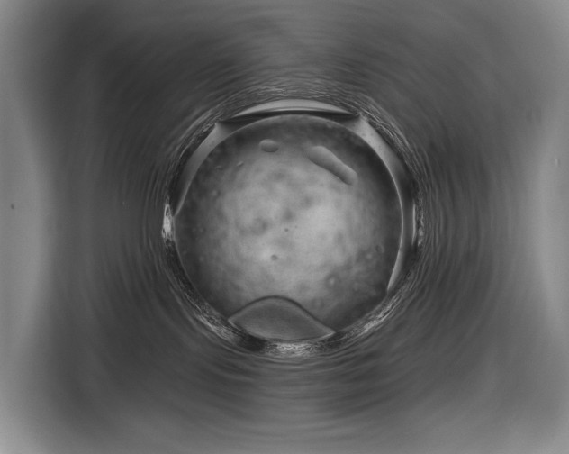 X0000116870095200912221414