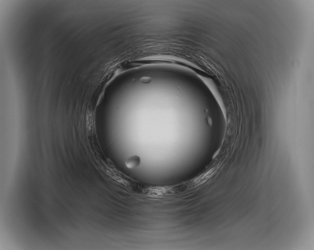 X0000116870096200912221414