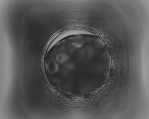 X0000116870099200912221413
