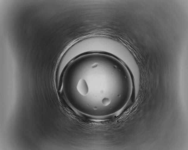 X0000116870100200912221413