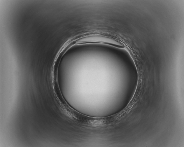 X0000116870102200912221413
