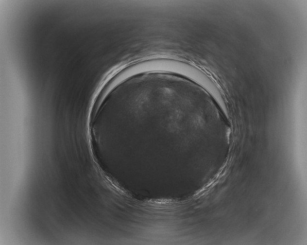 X0000116870104200912221413
