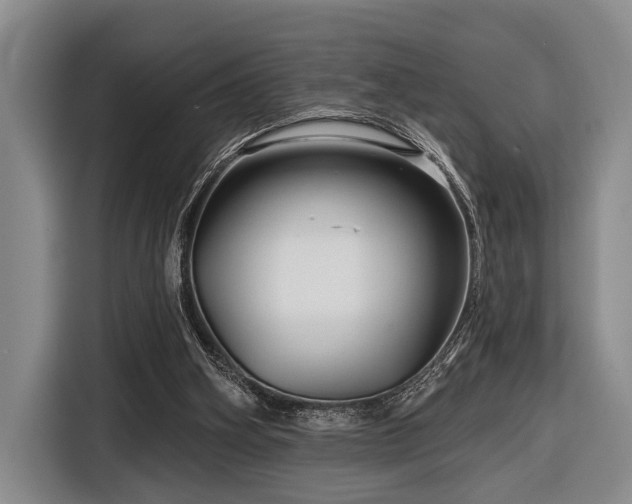 X0000116870106200912221413