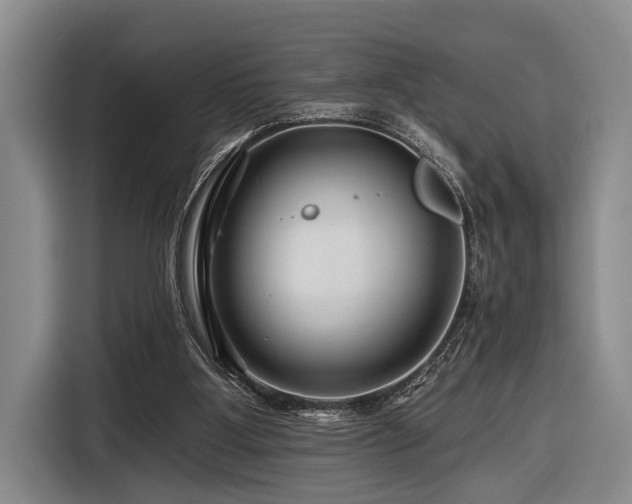 X0000116870107200912221413