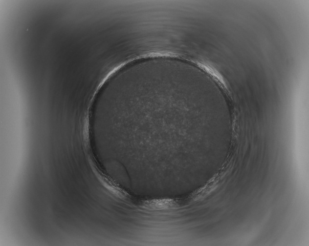 X0000116870108200912221413