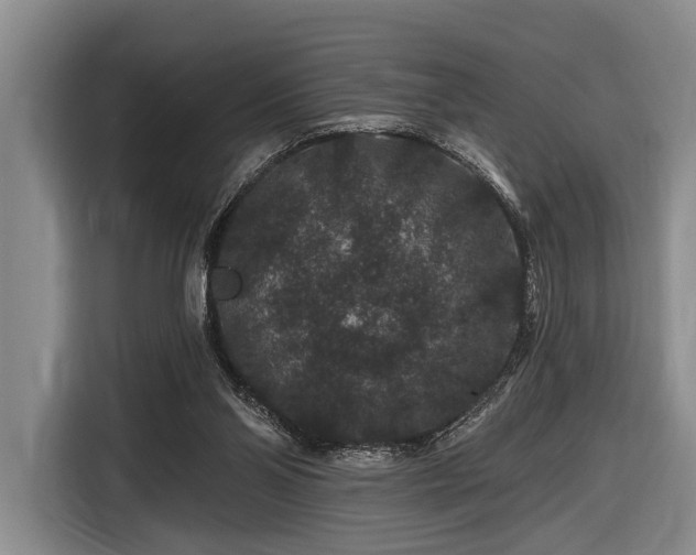 X0000116870110200912221413
