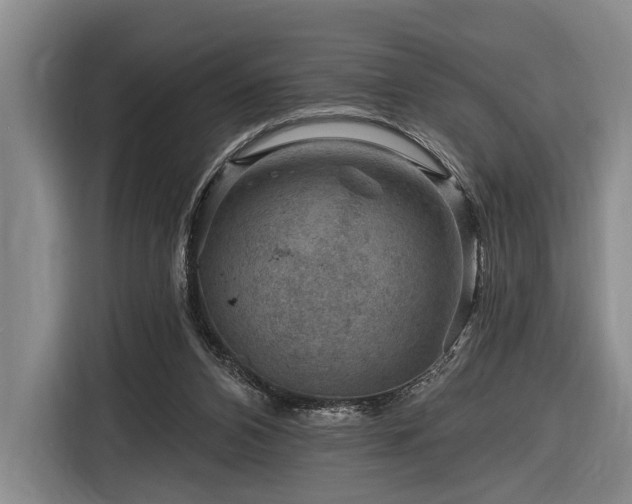 X0000116870112200912221413