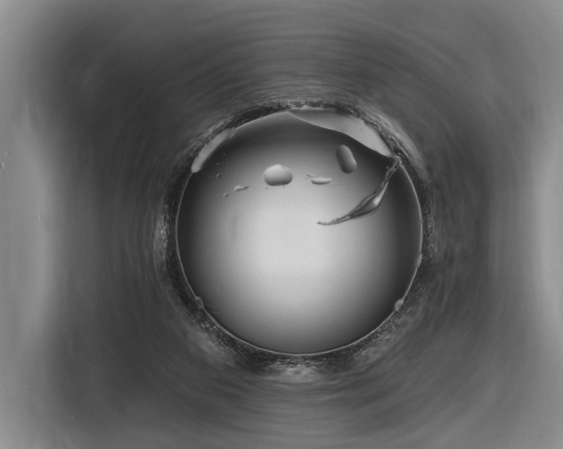 X0000116870113200912221413