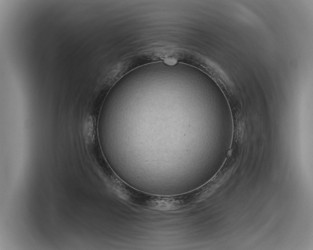 X0000116870121200912221413