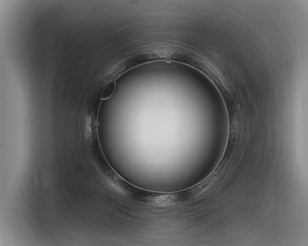 X0000116870122200912221413
