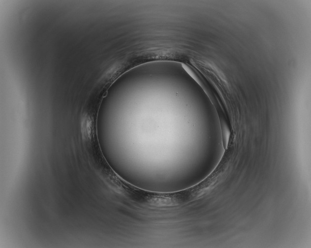 X0000116870123200912221413