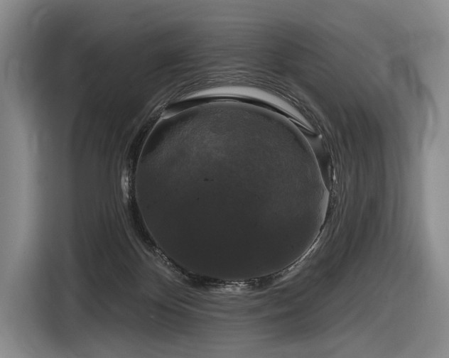 X0000116870124200912221413