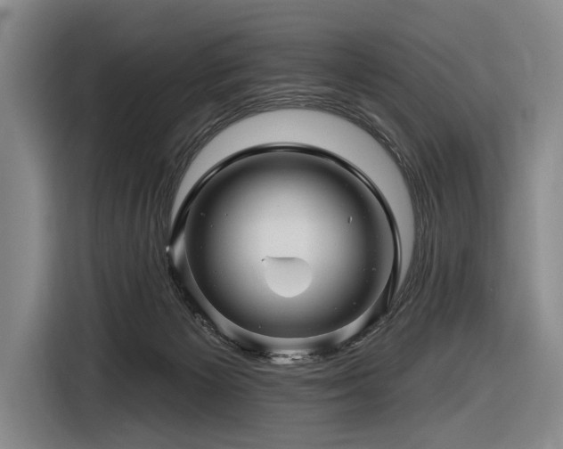 X0000116870125200912221413