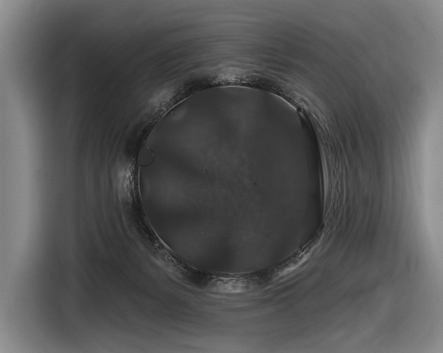X0000116870127200912221413