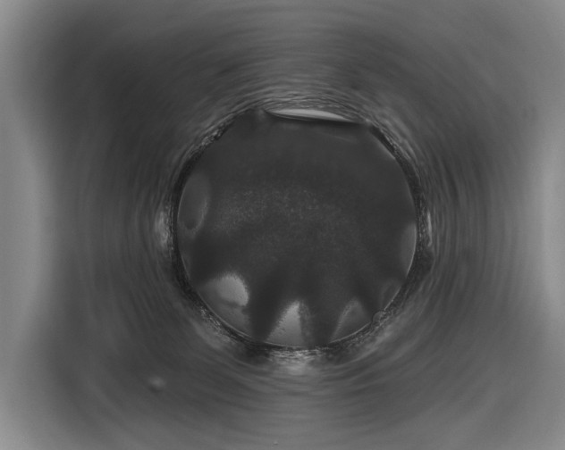 X0000116870131200912221413