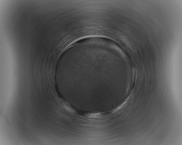 X0000116870132200912221413