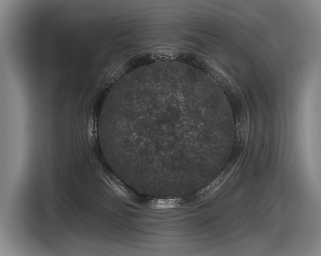 X0000116870134200912221413