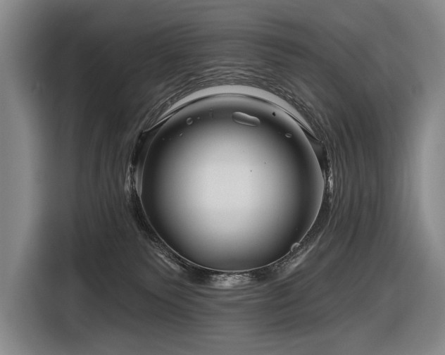 X0000116870135200912221413