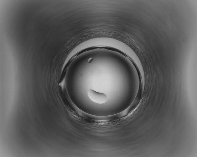 X0000116870136200912221413