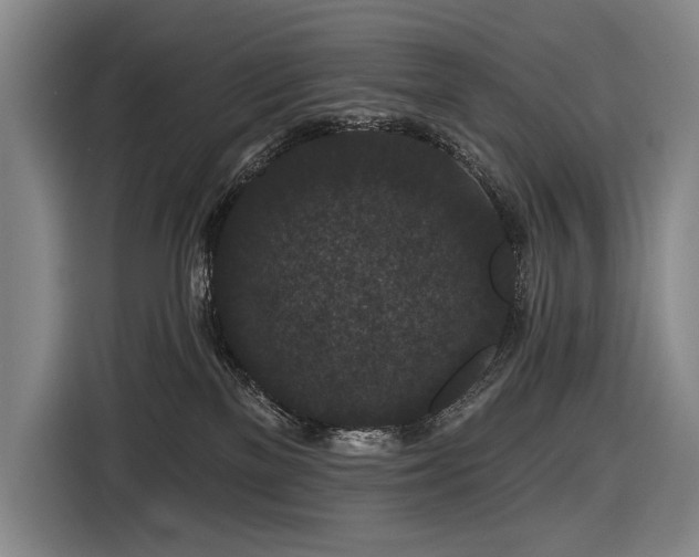 X0000116870137200912221413