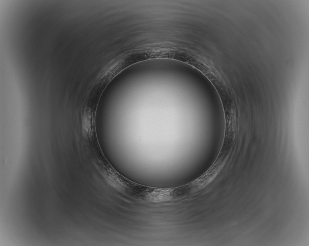 X0000116870138200912221413