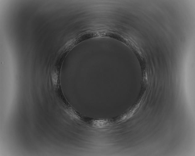 X0000116870139200912221413