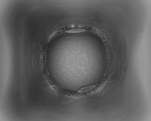 X0000116870144200912221413