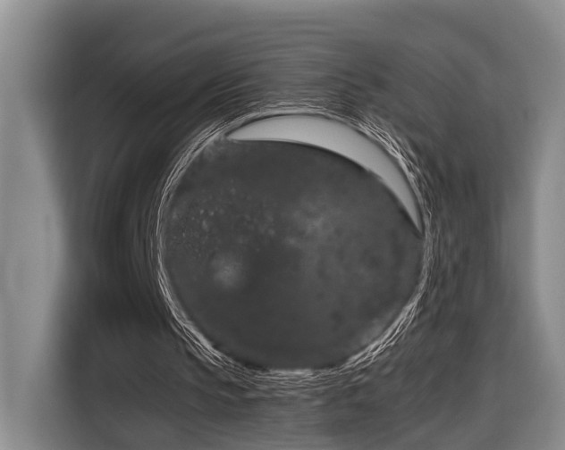 X0000116870145200912221412