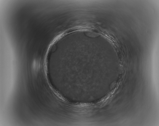X0000116870149200912221412