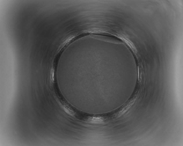 X0000116870157200912221412