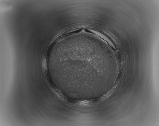 X0000116870158200912221412
