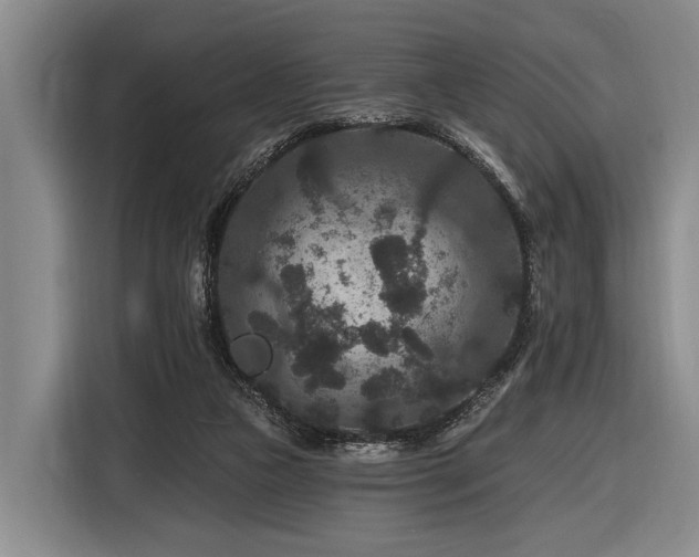 X0000116870161200912221413