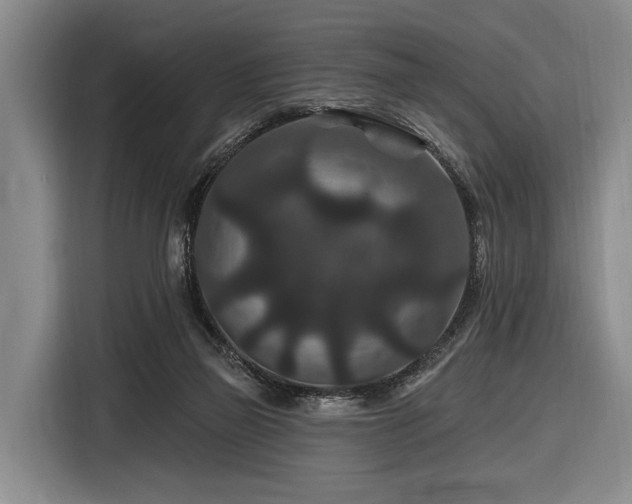 X0000116870165200912221413