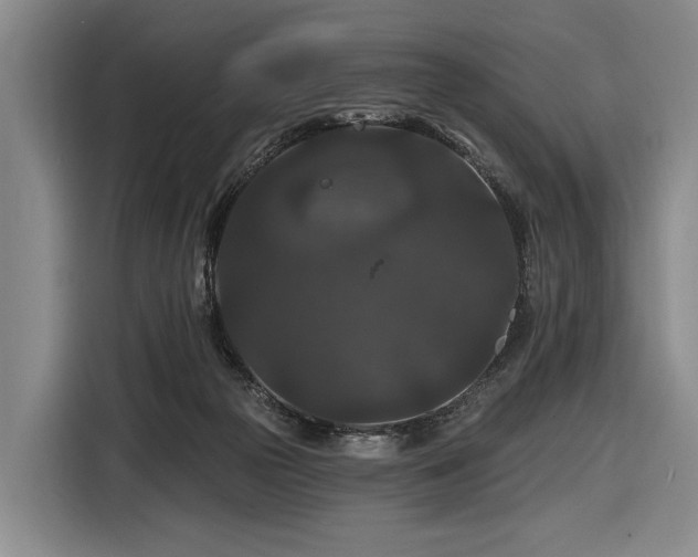 X0000116870169200912221413