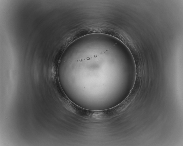 X0000116870173200912221413