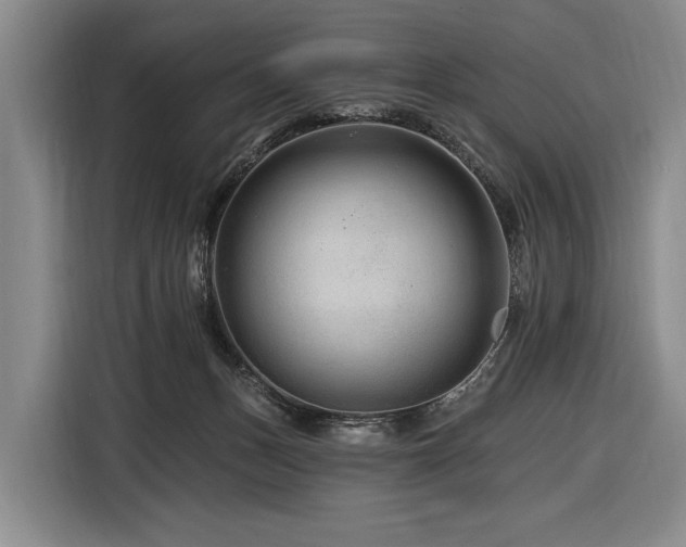 X0000116870175200912221413