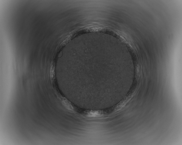 X0000116870177200912221413