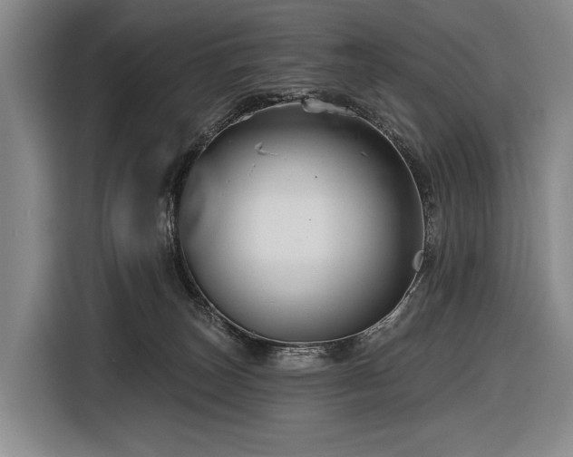 X0000116870179200912221413