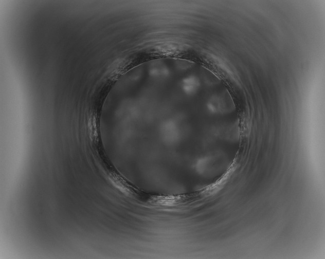 X0000116870182200912221413