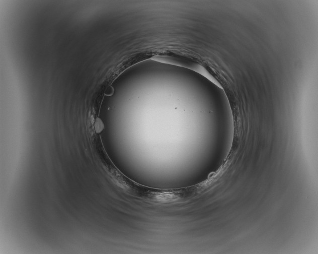 X0000116870183200912221413