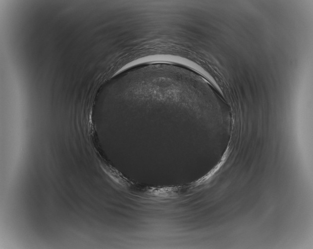 X0000116870186200912221413