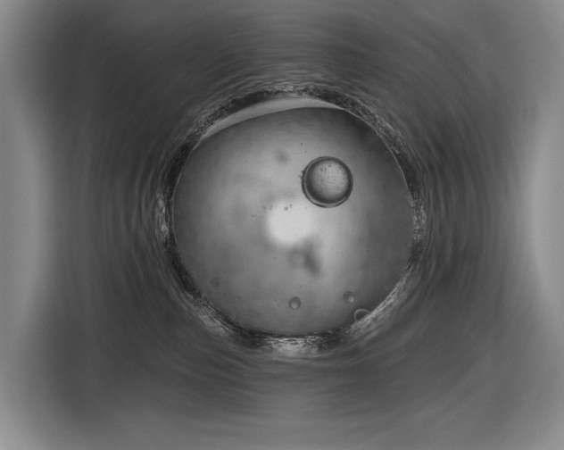 X0000116870187200912221413