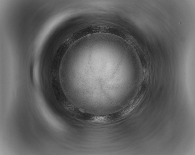 X0000116870189200912221413