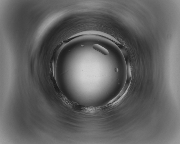X0000116870190200912221413