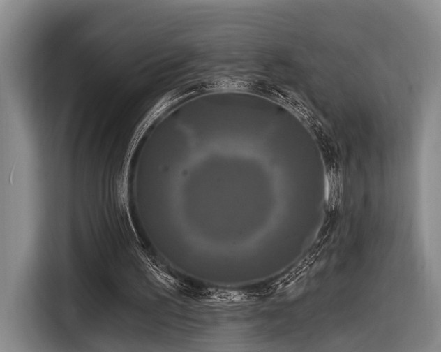 X0000116870195200912221412