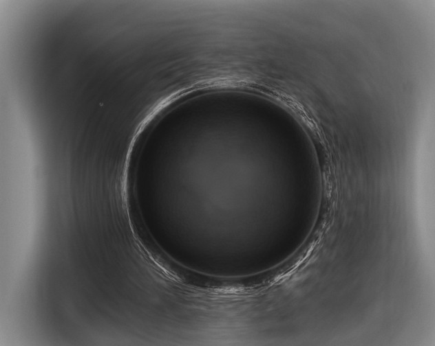 X0000116870196200912221412